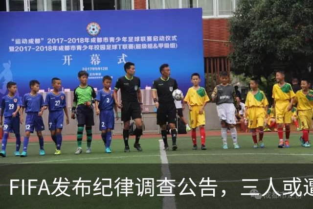 FIFA发布纪律调查公告，三人或遭重罚，队长梅西为阿根廷失序担责